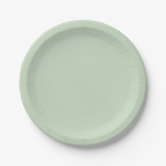Simple And Plain Plates For Wedding birthday party