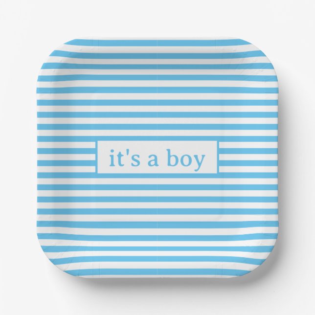 Simple Baby Blue and White Stripes Paper Plate (Front)