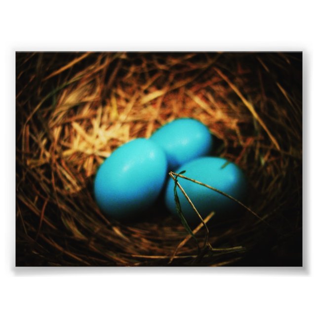 Simple Beauties Photo Print (Front)