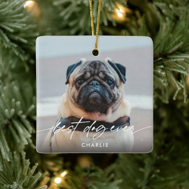 Simple Best Dog Ever 2 Photo Modern Script  Ceramic Ornament (Tree)