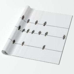 Simple Birds on the Wires Hand-Drawn Illustration Wrapping Paper