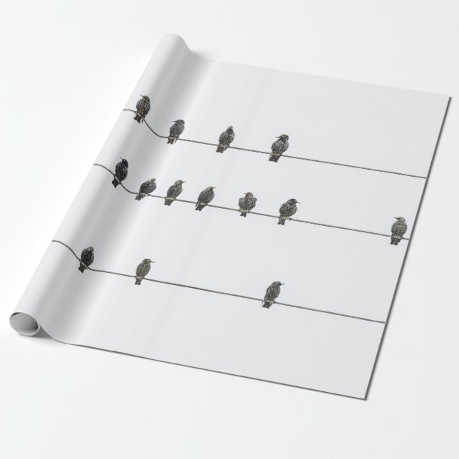Simple Birds on the Wires Hand-Drawn Illustration Wrapping Paper (Unrolled)