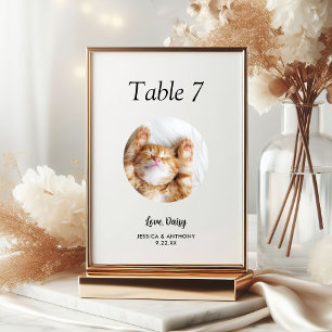 Simple Black and White Cat Photo Wedding Table Number