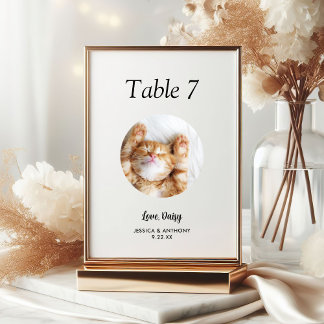Simple Black and White Cat Photo Wedding Table Number