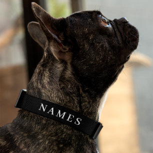 Simple Black Custom Add Your Name Elegant Pet Collar