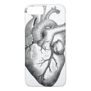 Simple Black White Anatomy Heart Illustration iPhone 8/7 Case
