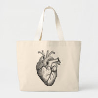 Simple Black White Anatomy Heart Illustration