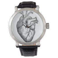 Simple Black White Anatomy Heart Illustration