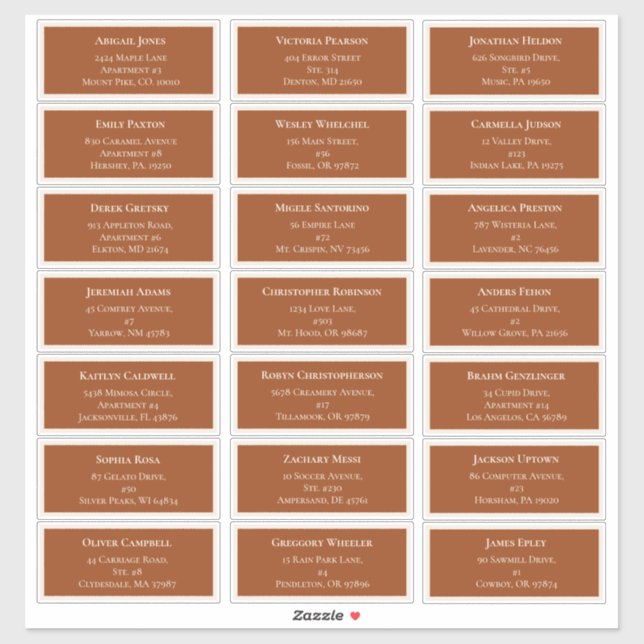 Simple Boho Terracotta Wedding Guest Address (Sheet)