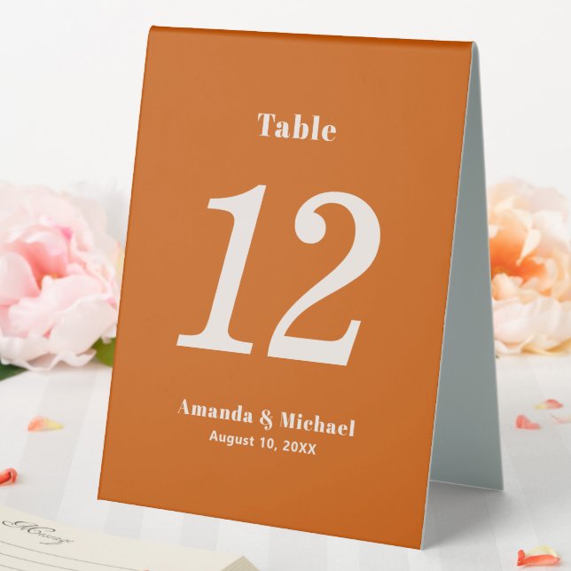 Simple Burnt Orange Minimalist Table Number (In SItu (Wedding))
