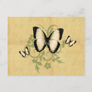 Simple Butterfly's Postcard