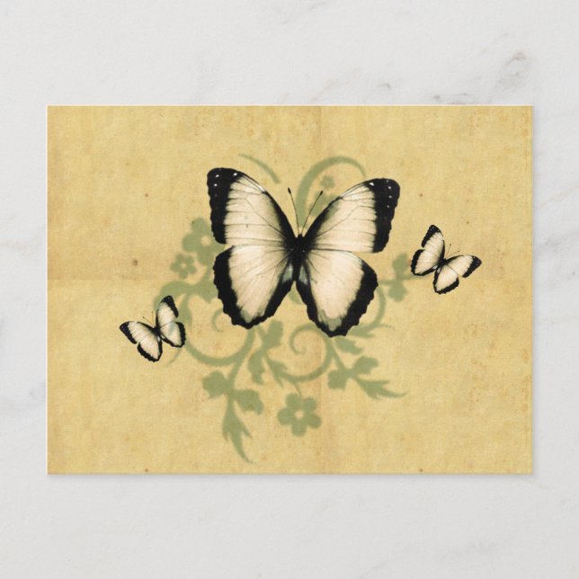 Simple Butterfly's Postcard (Front)