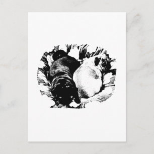 Simple Calm, Gentle Lines Postcard