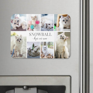 Simple Cat Pet Photo Collage Magnet
