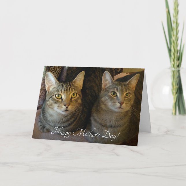 Simple Cats Photo Mother's Day  Card (Front)