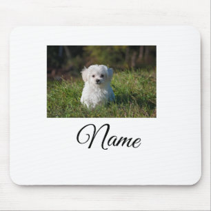 Simple colorful animal add name photo custom throw mouse mat