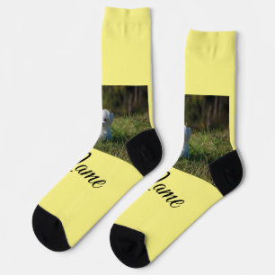 Simple colorful animal add name photo custom throw socks