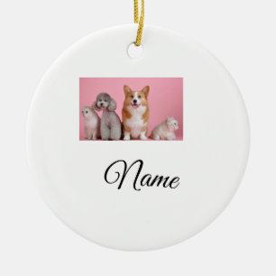 Simple colourful animal add name photo custom ceramic tree decoration