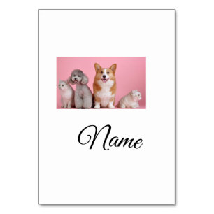 Simple colourful animal add name photo custom table number
