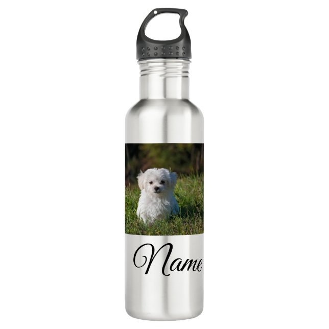 Simple colourful animal add name photo custom thro 710 ml water bottle (Front)