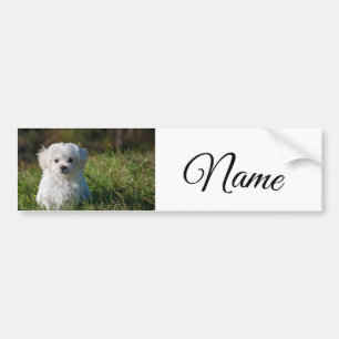 Simple colourful animal add name photo custom thro bumper sticker