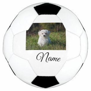 Simple colourful animal add name photo custom thro football