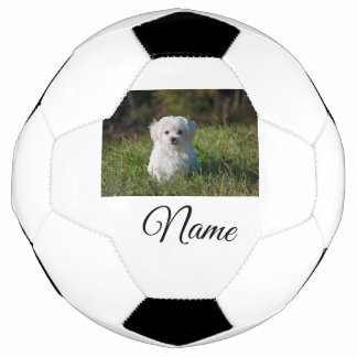 Simple colourful animal add name photo custom thro football