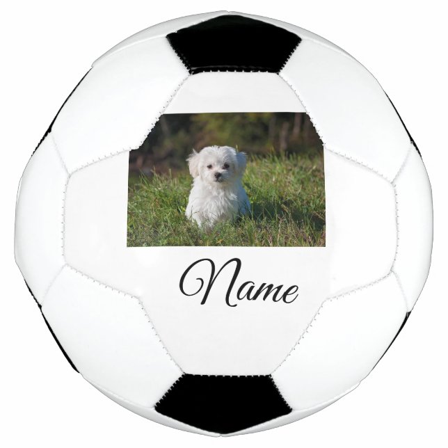 Simple colourful animal add name photo custom thro football (Front)