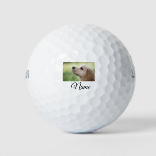 Simple colourful animal add name photo custom thro golf balls