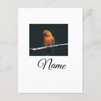 Simple colourful animal add name photo custom thro postcard