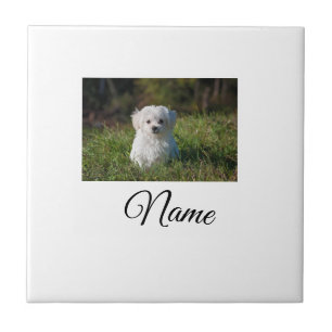 Simple colourful animal add name photo custom thro tile