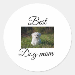 Simple colourful animal add name photo dog mum gif classic round sticker