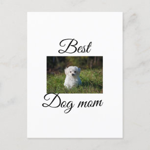 Simple colourful animal add name photo dog mum gif postcard