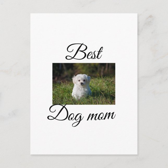 Simple colourful animal add name photo dog mum gif postcard (Front)