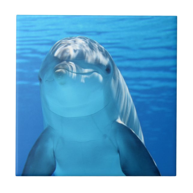 Simple Custom Photo  Tile (Front)