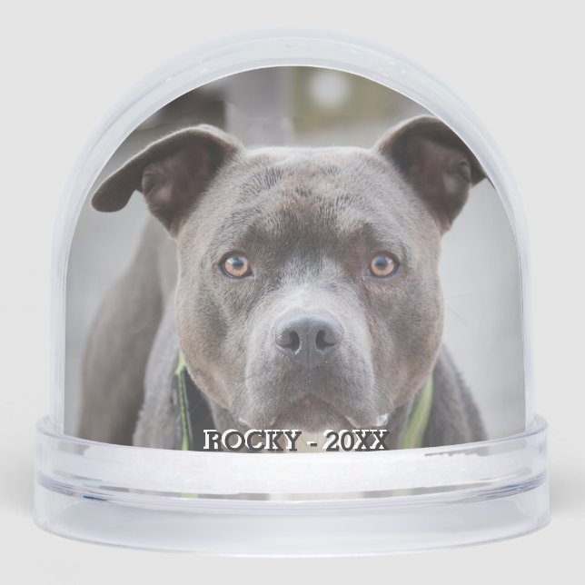 Simple Custom Pit Bull Dog Photo Snowglobe (Front)