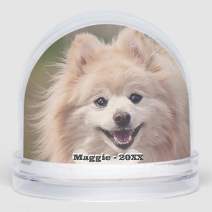 Simple Custom Pomeranian Dog Photo Snowglobe