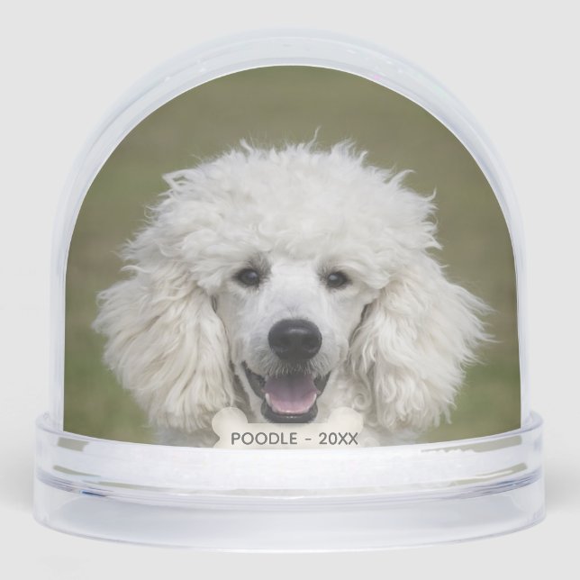 Simple Custom Poodle Dog Photo Snowglobe (Front)