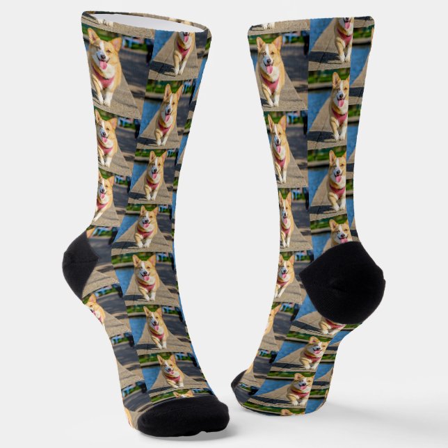 Simple Cute Pet Dog Photo  Socks (Angled)