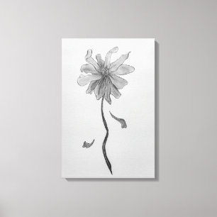 Simple Daisy Canvas Print