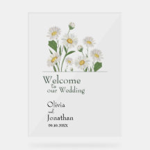 Simple Daisy Wild Garden