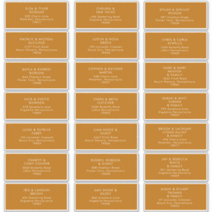 Simple Desert   Burnt Orange  Address Labels
