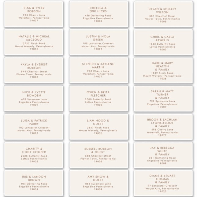 Simple Desert | Natural White Address Labels (Front)