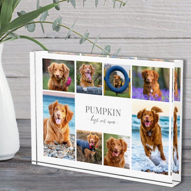 Simple Dog Pet Photo Collage Block (Simple Dog Pet Photo Collage)