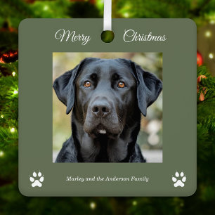 Simple Dog Photo Merry Christmas Green Metal Tree Decoration