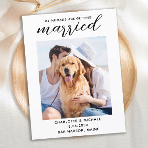 Simple Dog Wedding Photo Save The Date Announcement Postcard