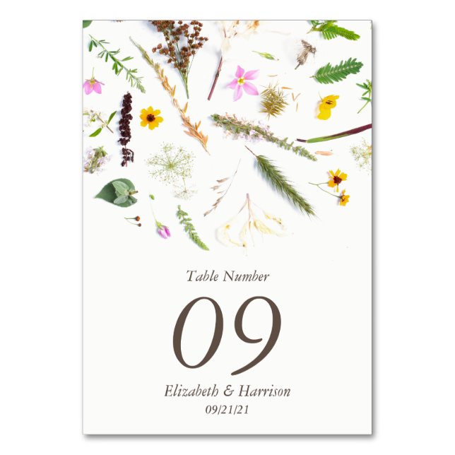 Simple Elegant Botanical Wild Flower Wedding Table Number (Front)