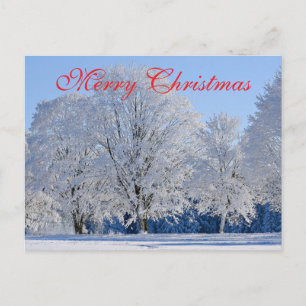Simple Elegant Red Decor Snow Merry Christmas Holiday Postcard