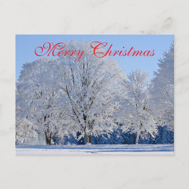 Simple Elegant Red Decor Snow Merry Christmas Holiday Postcard (Front)
