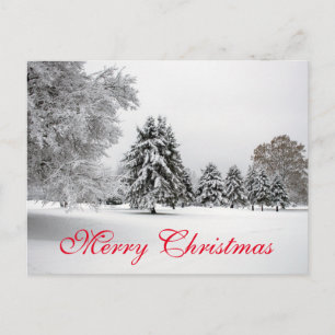 Simple Elegant Red Decor Snow Merry Christmas Holiday Postcard